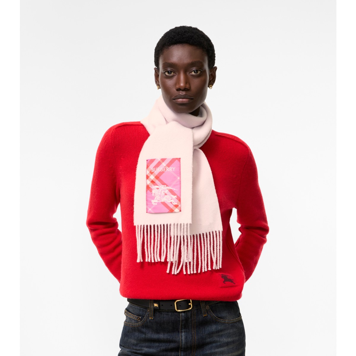  Check Narrow Label Cashmere Scarf