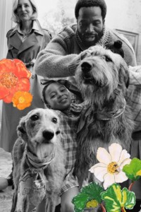 Burberry Highgrove Campaign featuring a model wearing highgrove menswear collection with dogs