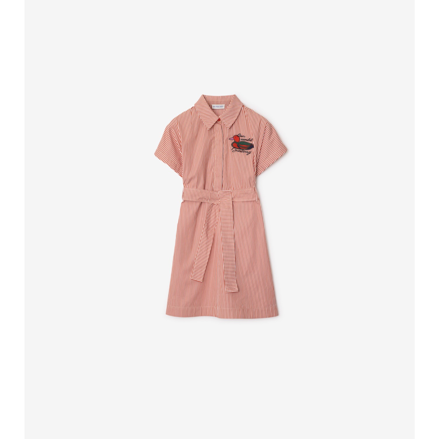 Duck Cotton Shirt Dress