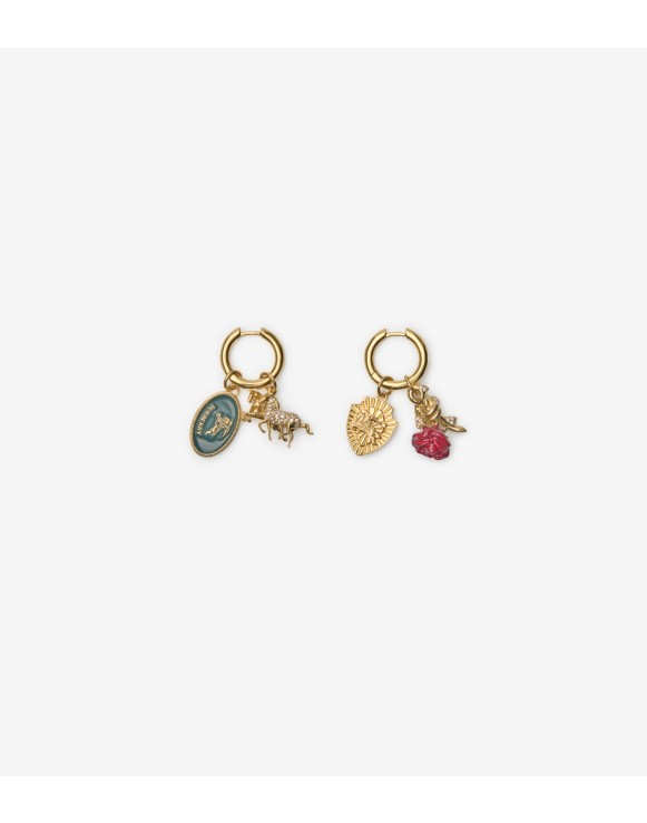 Charm Hoop Earrings​