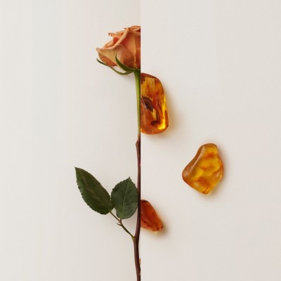 my burberry black 50ml price