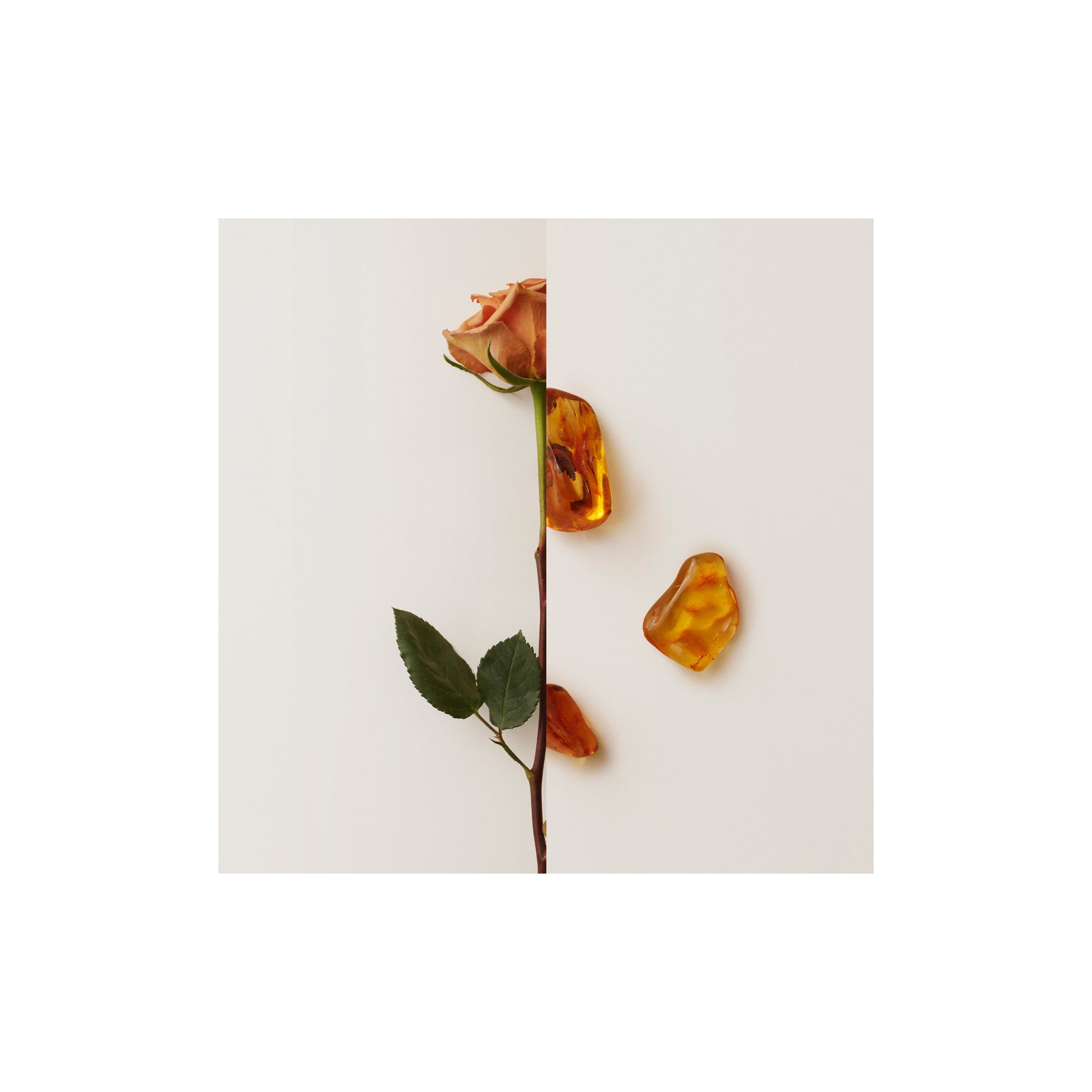 my burberry black notino