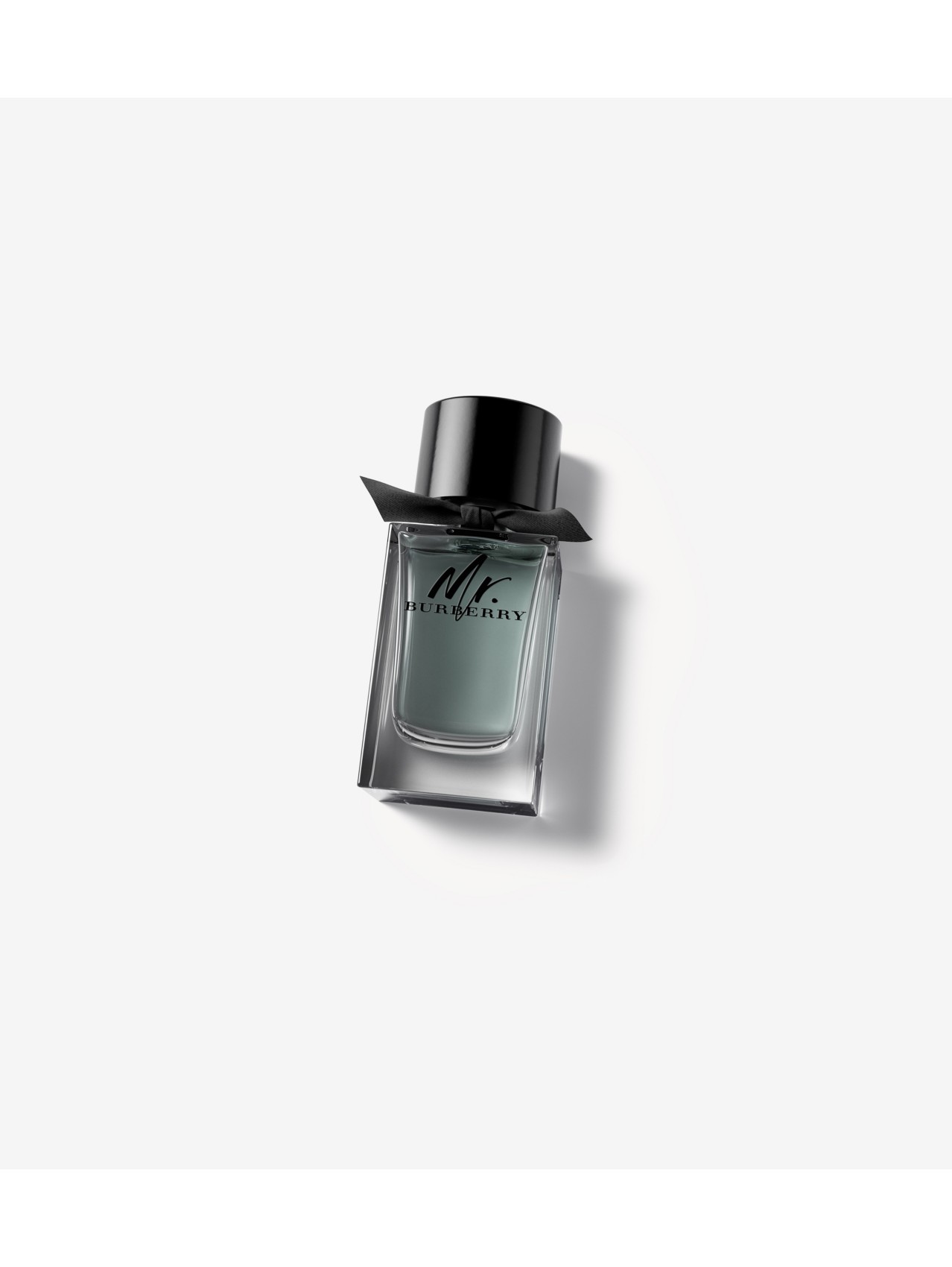 Mr. Burberry Eau de Toilette 100ml - Men | Burberry® Official