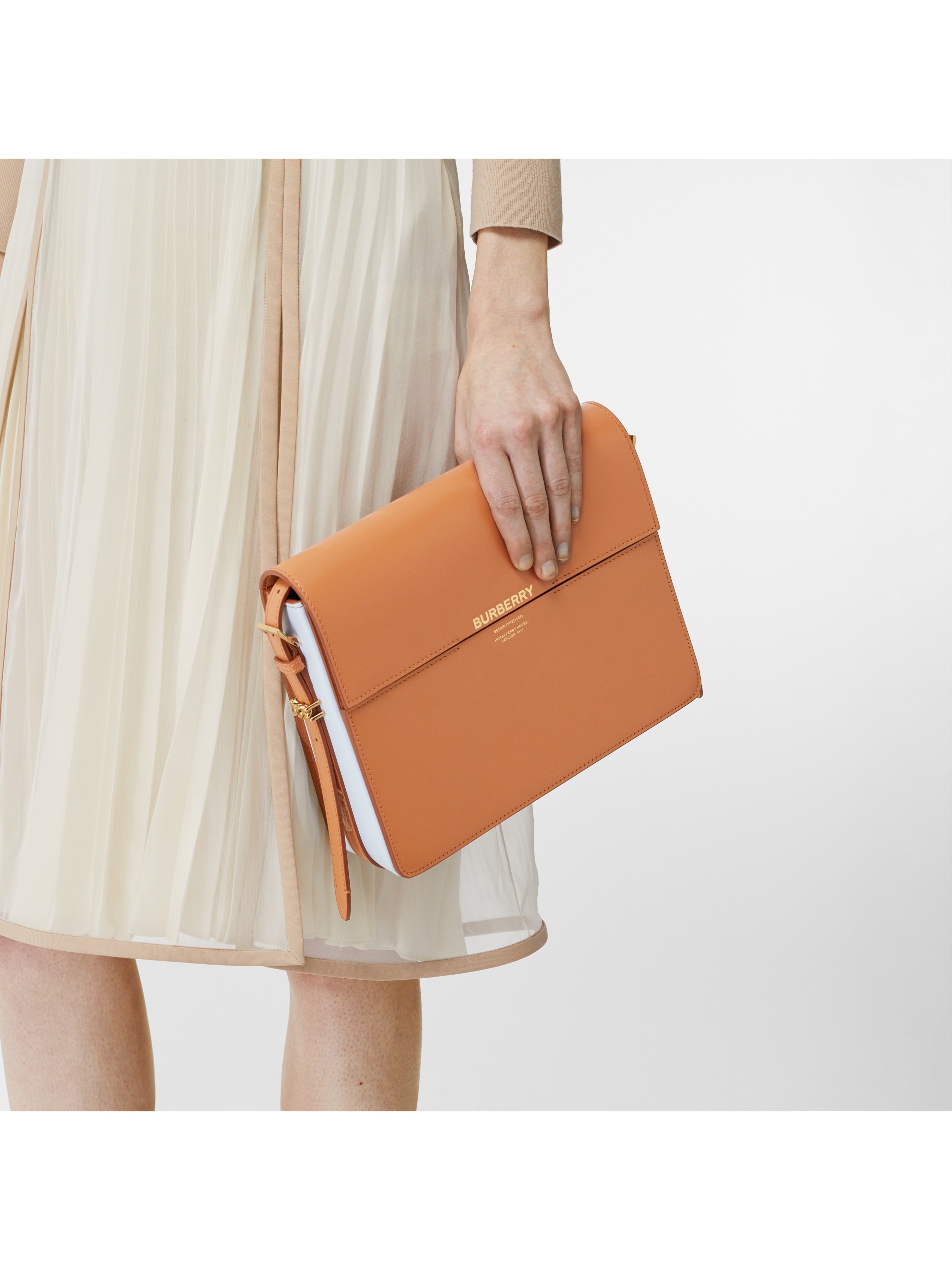 豆蔻色 / 浅蓝色 grace - 大号双色皮革格雷丝包 产品图片81