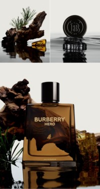 Burberry Hero Perfume