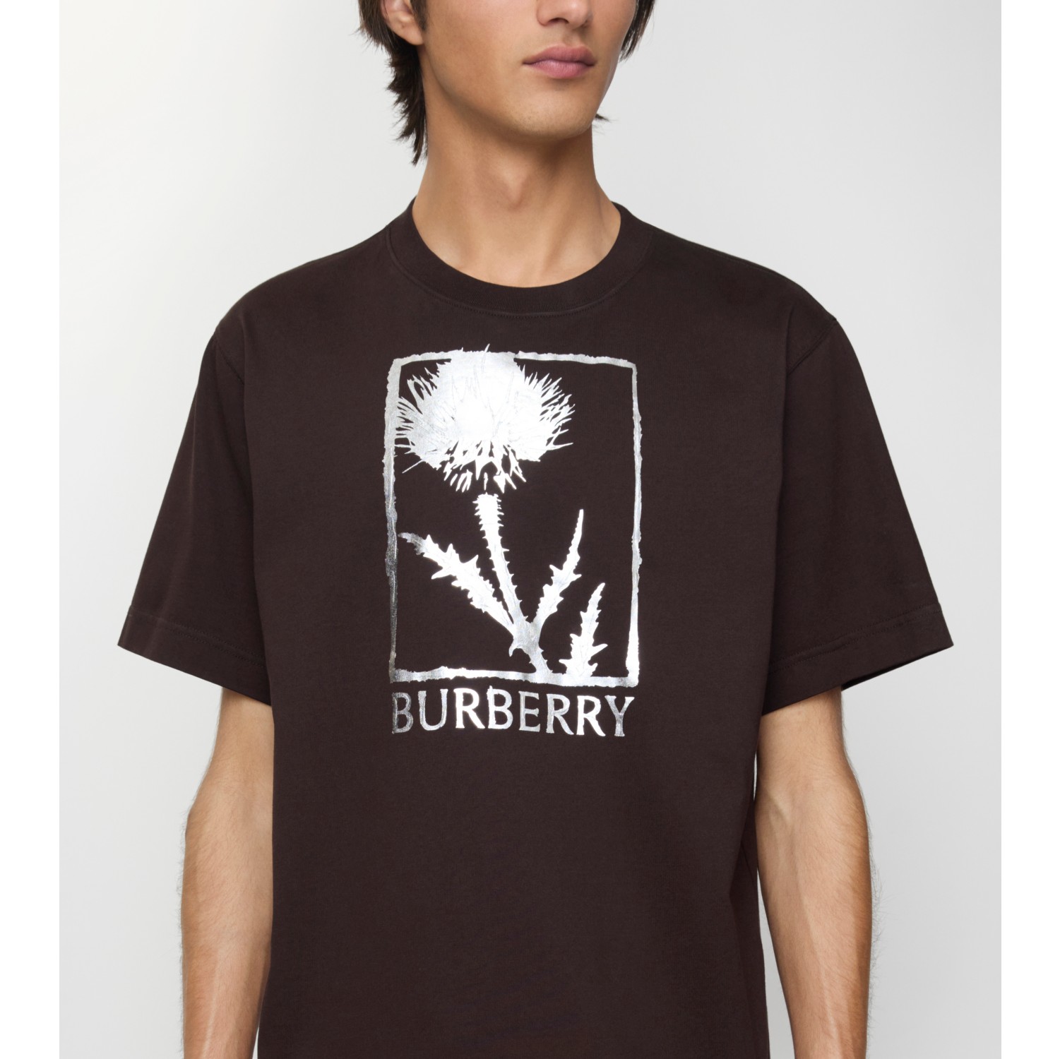 Thistle Cotton T-shirt in Clove brown - Men | Burberry® Official