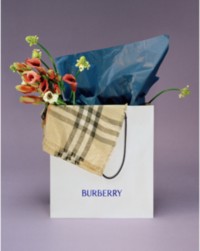 Burberry Carrier Bag with check light scarf and flowers