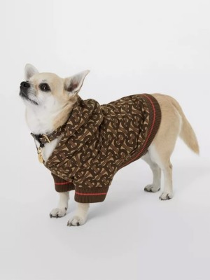 designer dog coats burberry