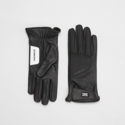Cashmere-lined Deerskin Gloves 