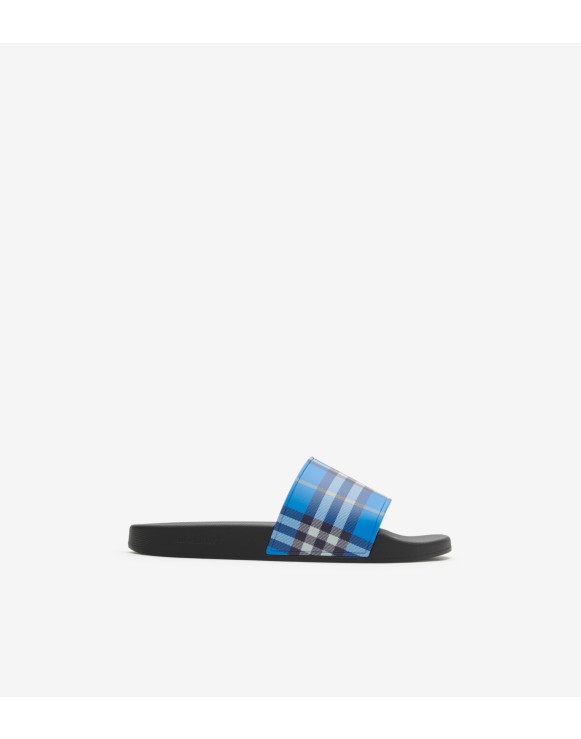Check Slides