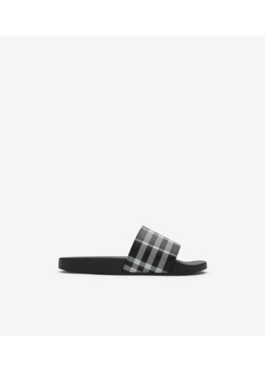 Check Slides