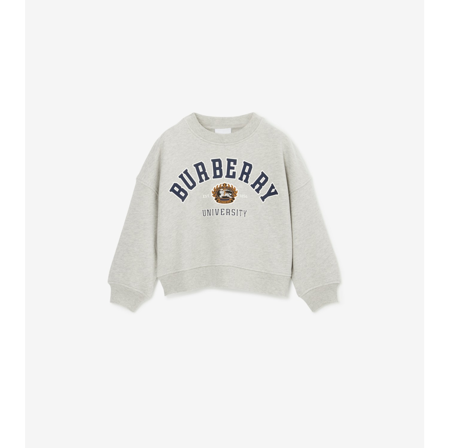 College Graphic Cotton Sweatshirt in Deep Dove Grey Melange | Burberry®  Official