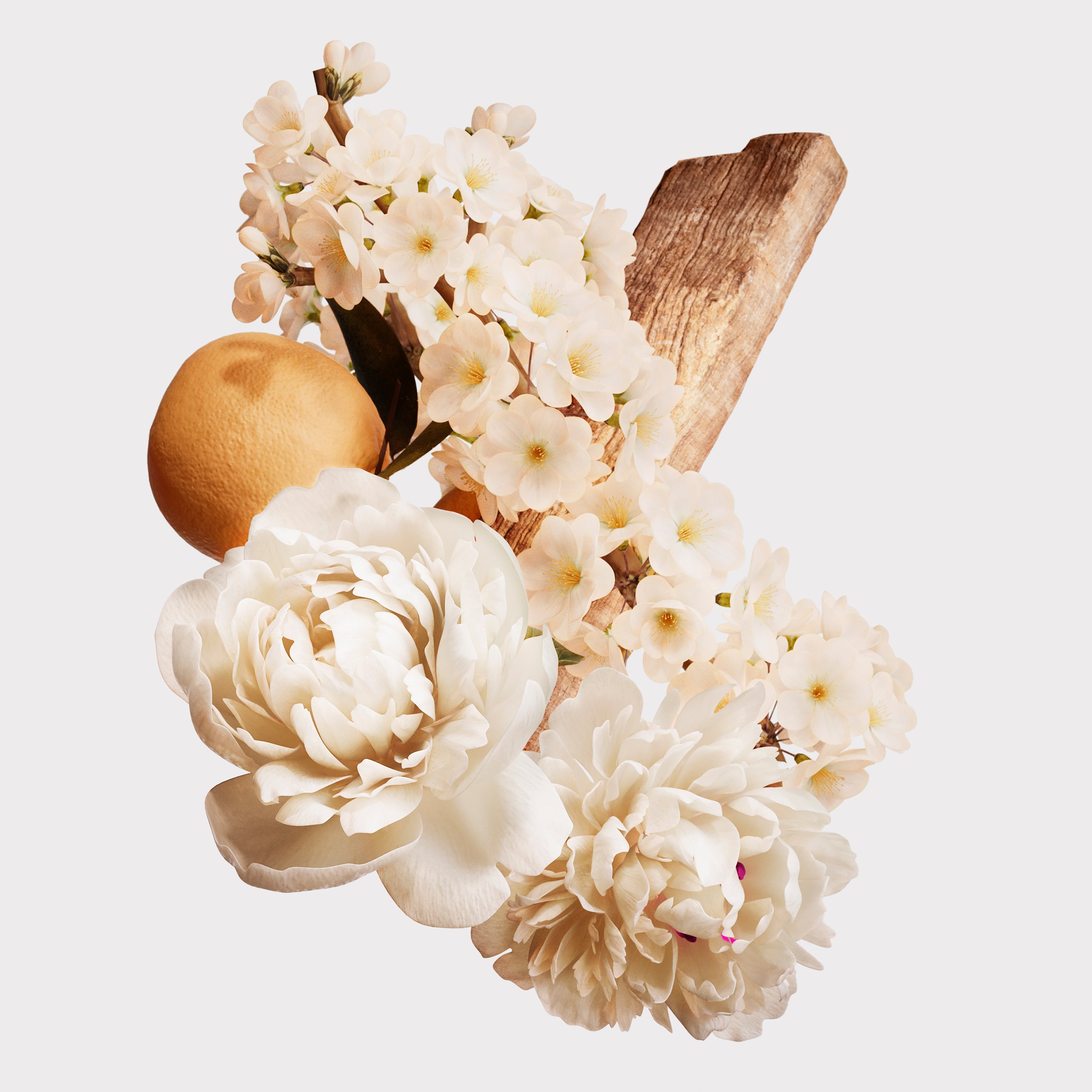 Her Blossom 博柏利花与她淡香水 100ml - 女士 | Burberry® 博柏利官网 - 2