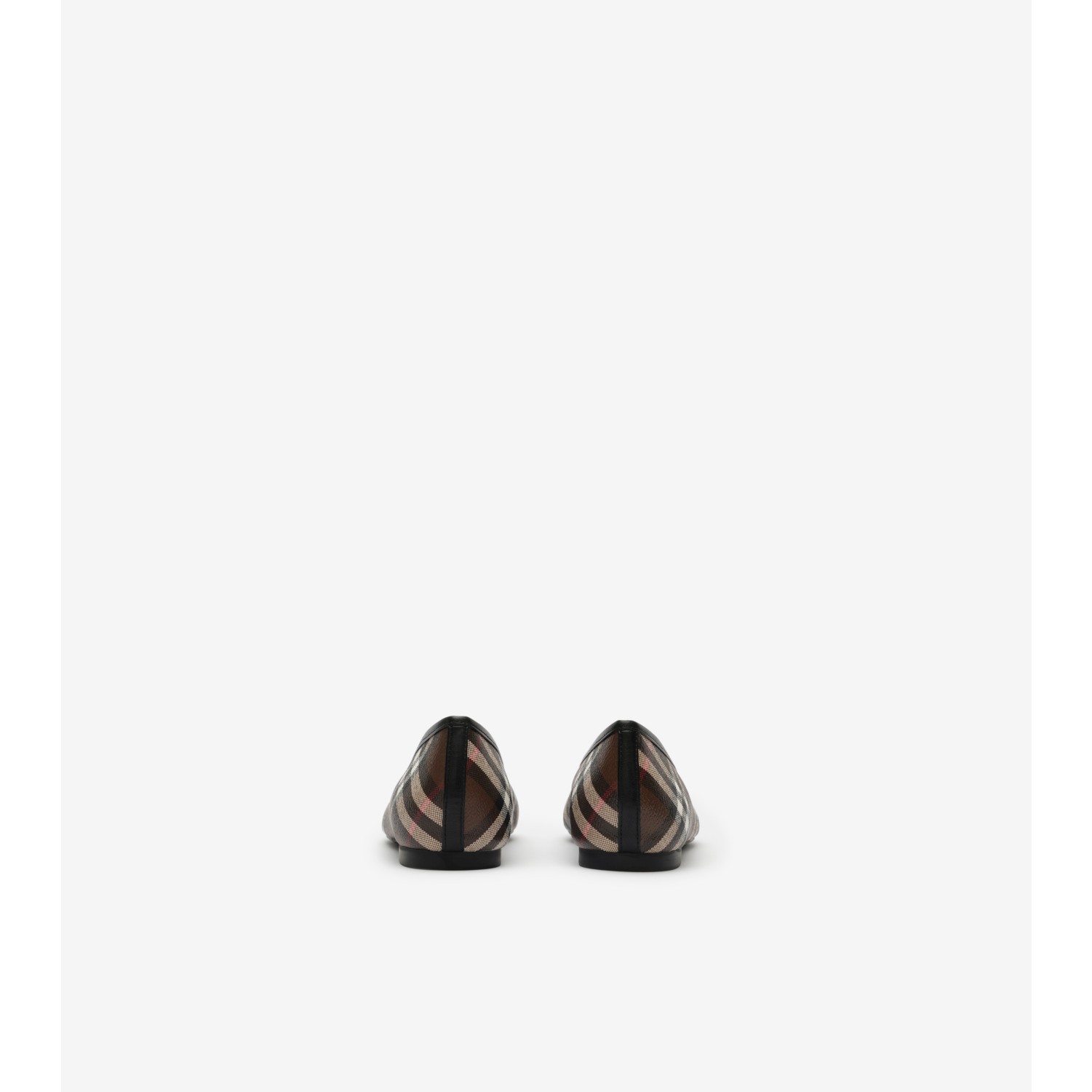 Check Canvas Highgate Ballerinas in Tobacco brown - Women