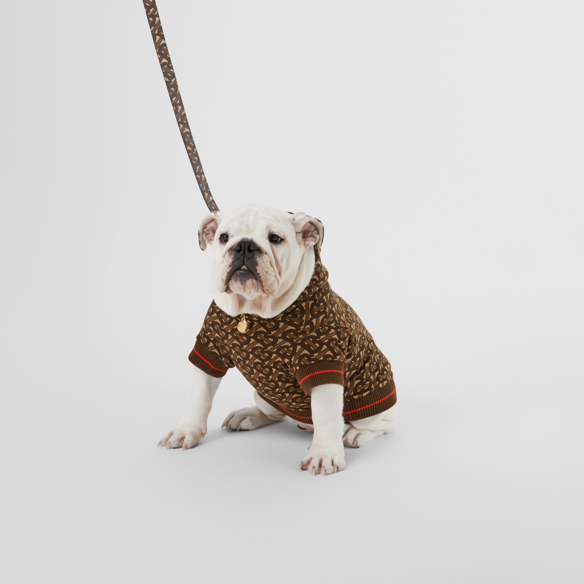 Monogram Print Ecanvas Dog Leash in Bridle Brown Burberry United States