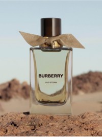 Parfum Burberry Signatures Oud Storm