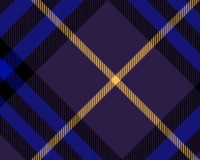 Burberry Red check animation