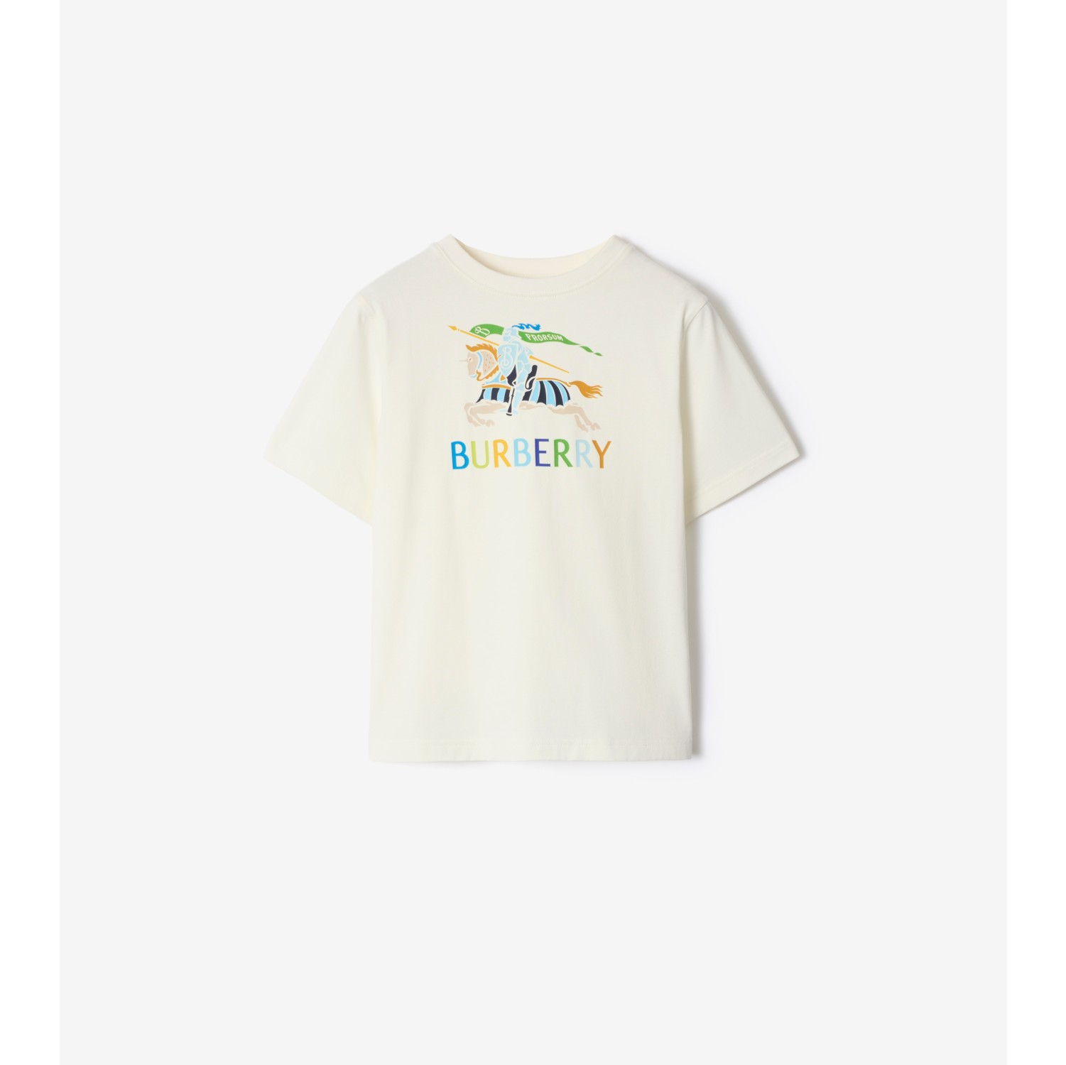 Multicolour EKD Cotton T-shirt