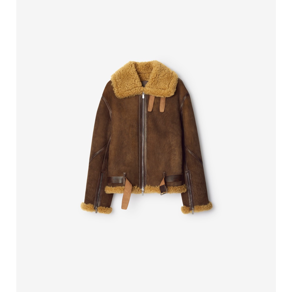 Shop Burberry Shearling Aviator Jacket In Moss