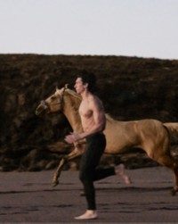 Horse with Adam Driver