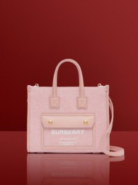 Bright Red and Dusky Pink  Canvas and Leather Mini Freya Tote
