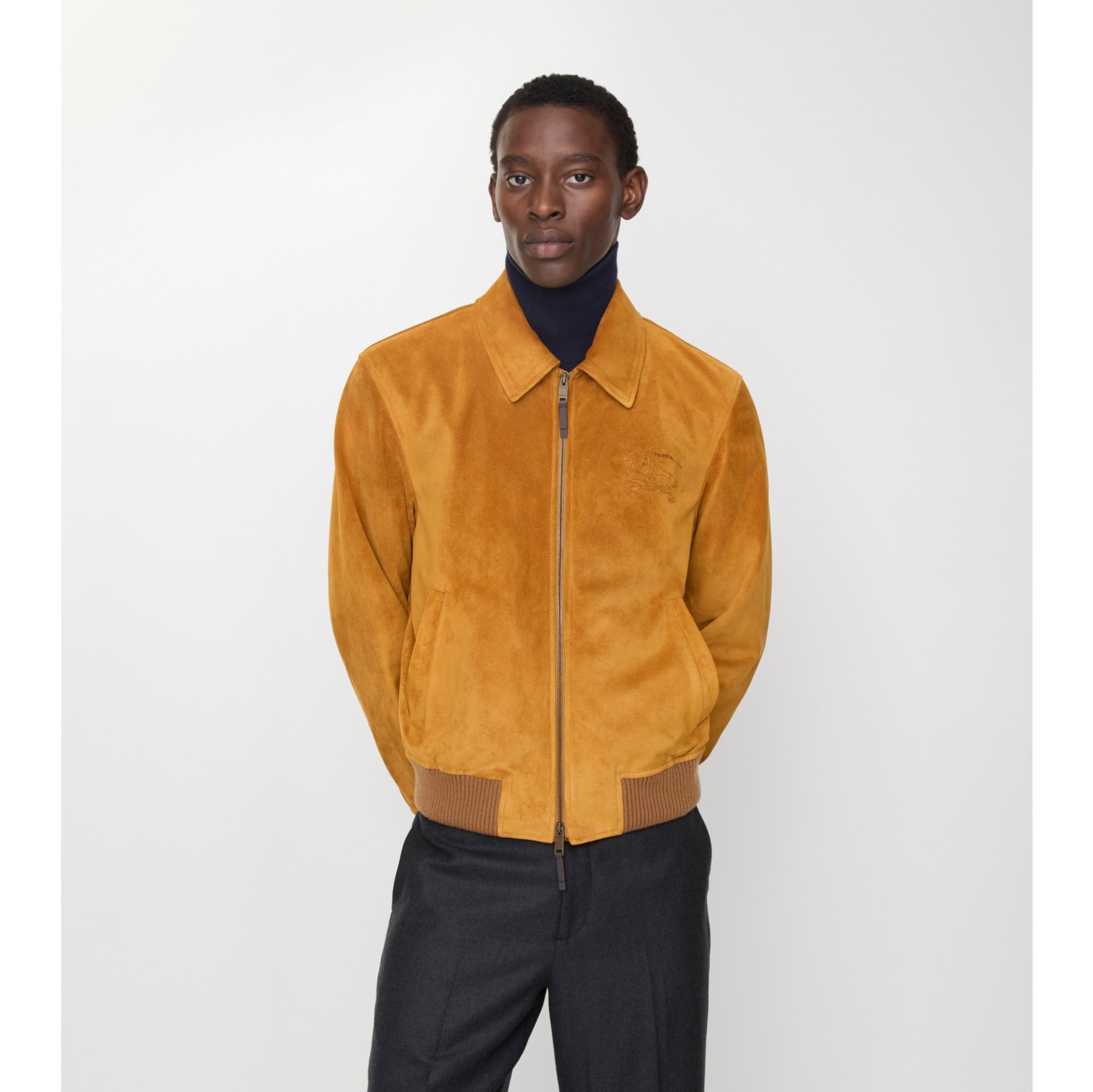 Suede Harrington Jacket in Tan - Men, Leather | Burberry® Official