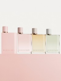 Total 84+ imagen burberry perfume dama original nuevo