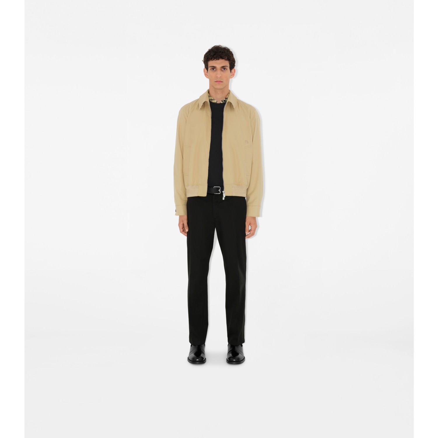 Chaqueta Harrington Chester en gabardina