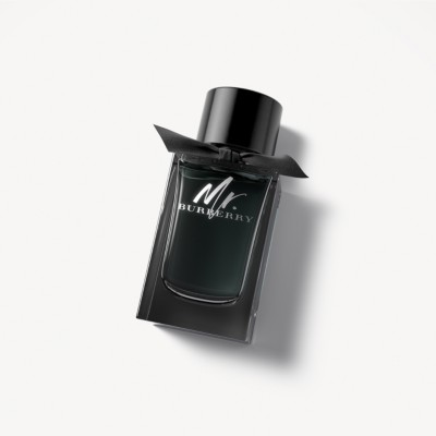Mr. Burberry Eau de Parfum 150ml - Men 