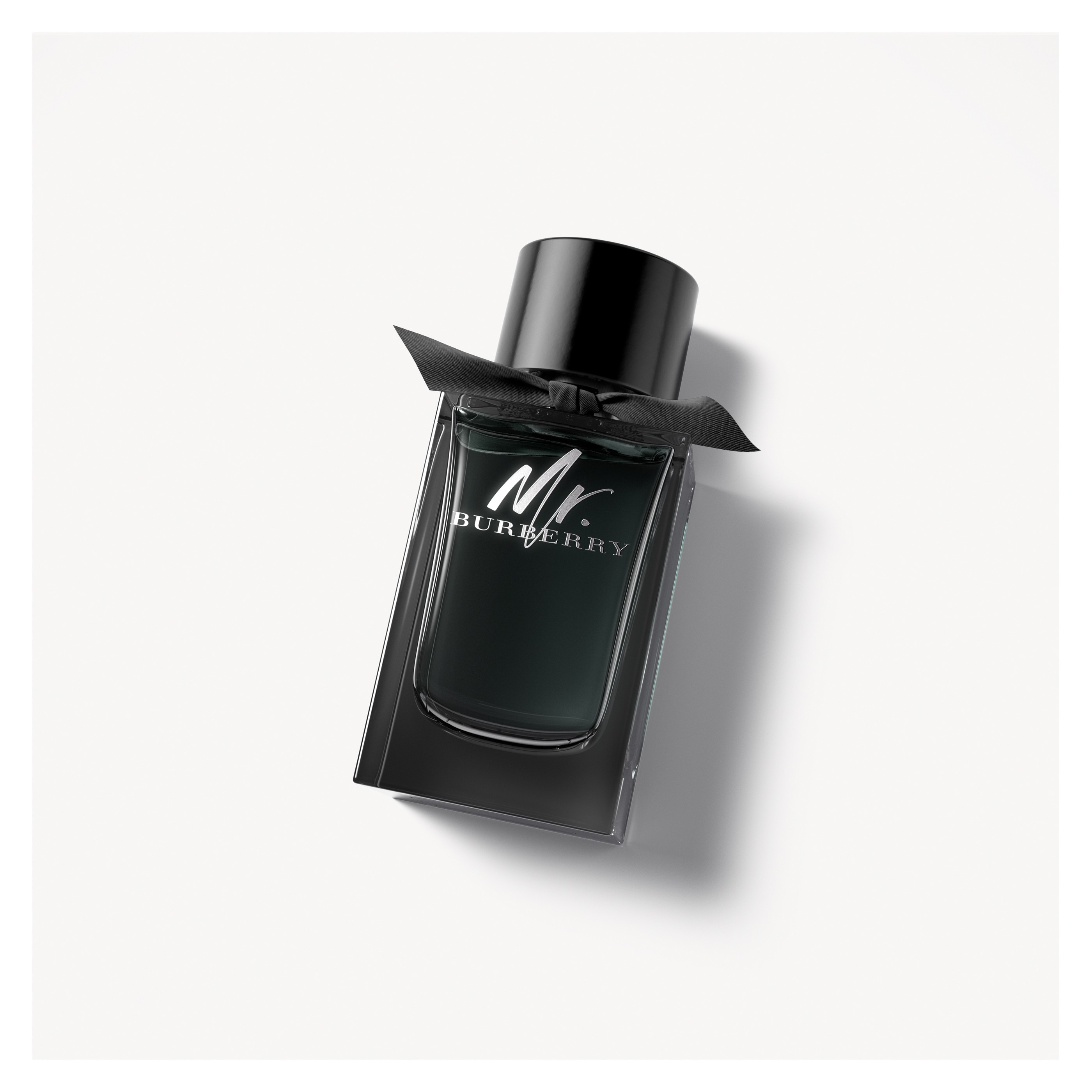 Mr. Burberry Eau de Parfum 150ml - Men | Official