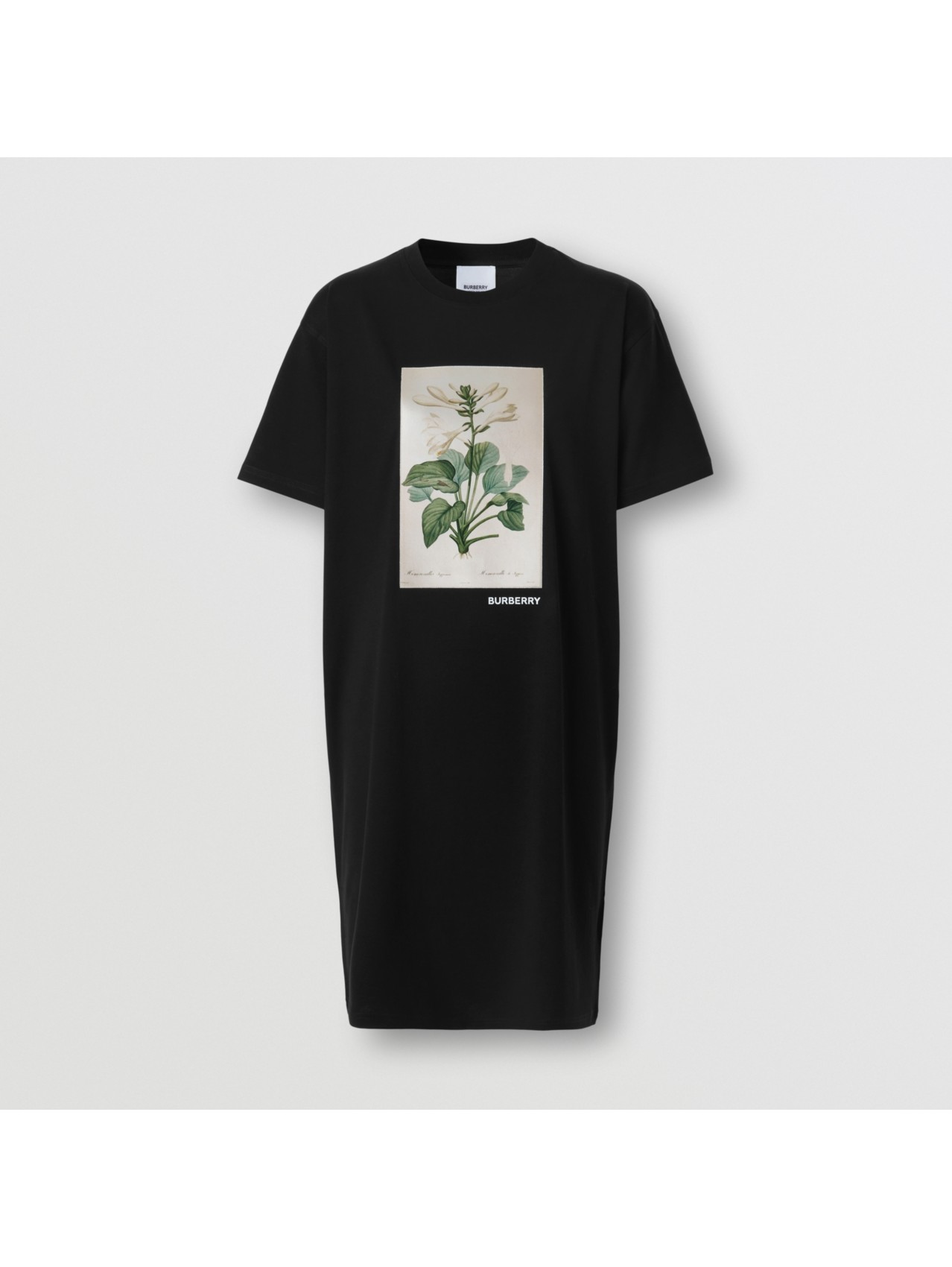 Women’s Designer Clothing | Luxury Womenswear | Burberry® Official