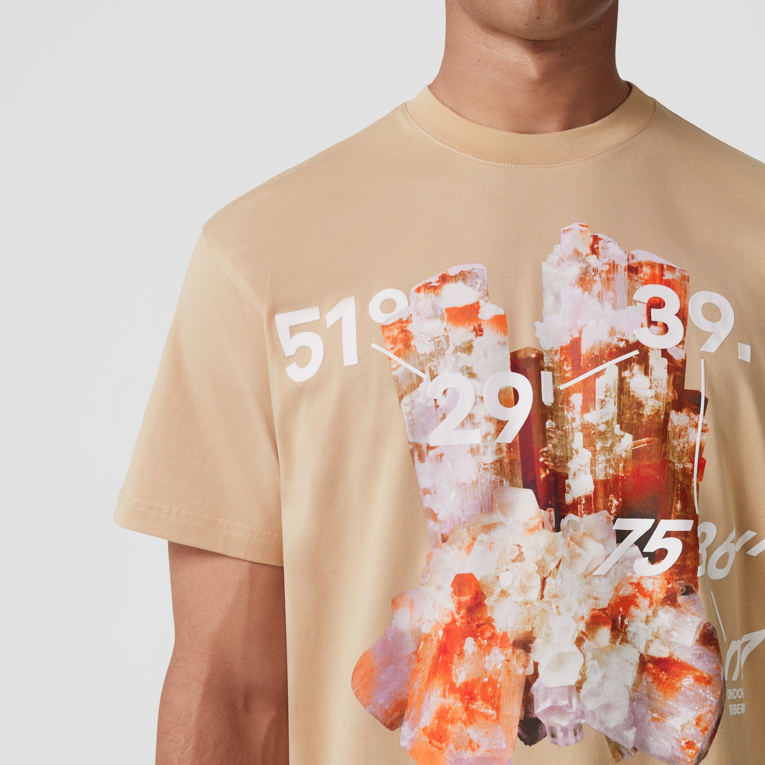 Camiseta en algodón con estampado de cristal y coordenadas (Rosa Beige Suave) - Hombre | Burberry® oficial - 2