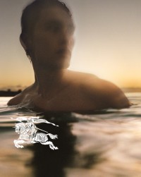 A Burberry Summer