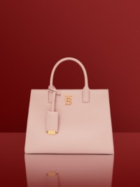 Dusky Pink Grainy Leather Mini Frances Bag