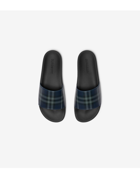 Check Slides