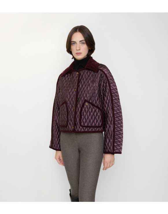 Cropped Quilted Nylon Floriston Jacket