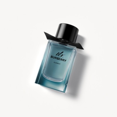 mister burberry cologne