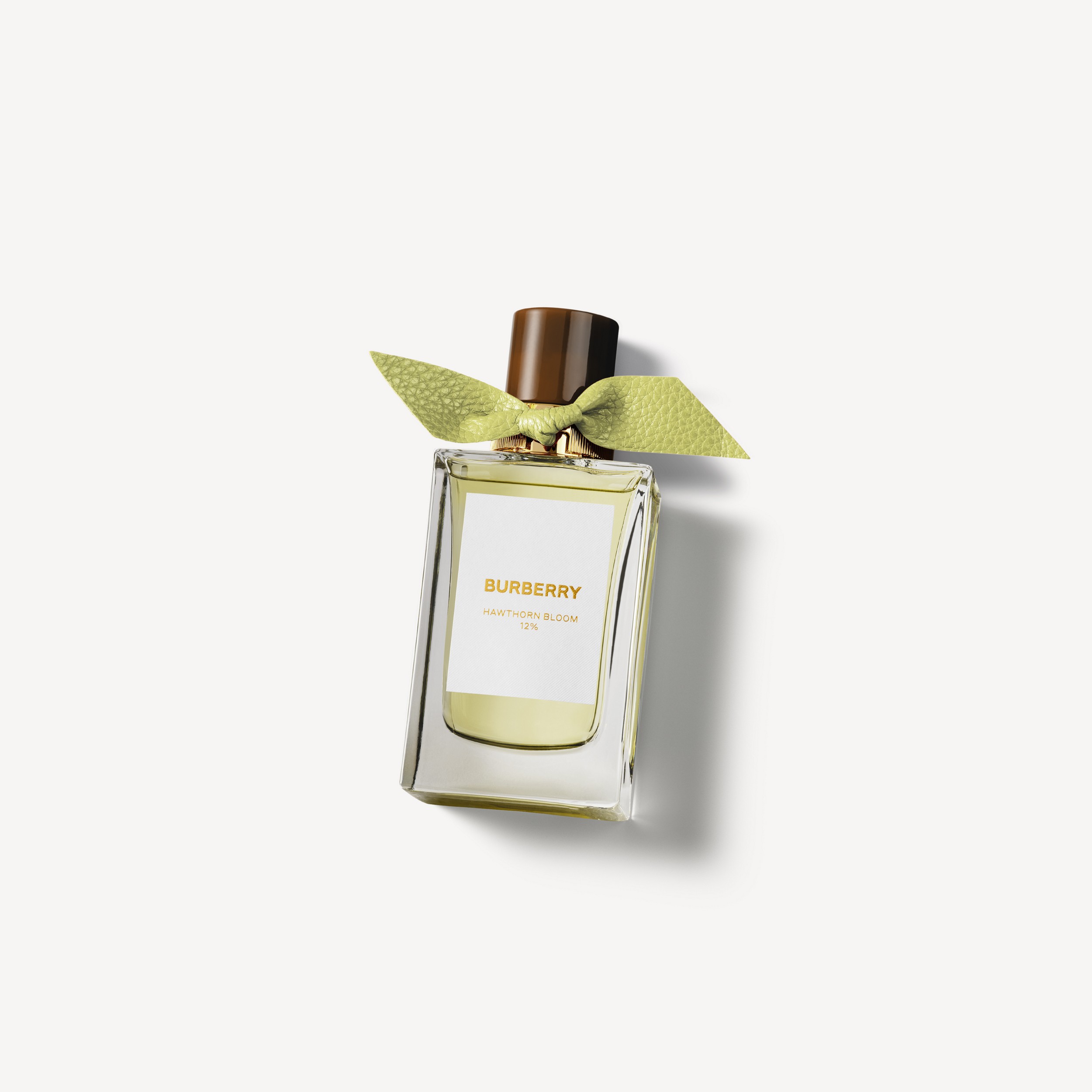 Burberry Signatures Eau de Parfum Hawthorn Bloom 100 ml | Site officiel Burberry® - 1