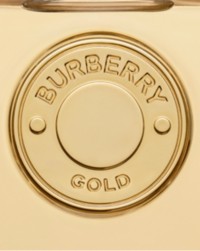 Burberry金色设计 