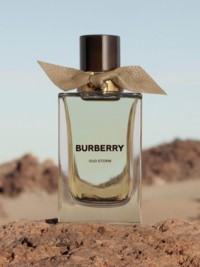 Burberry Signature Fragrance Scent Oud Storm