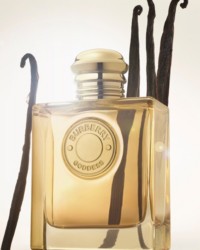 Flacon Burberry Goddess avec gousses de vanille 