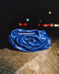 Rose clutch bag in Knight Blue