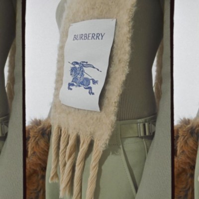 Burberry scarf clearance 290