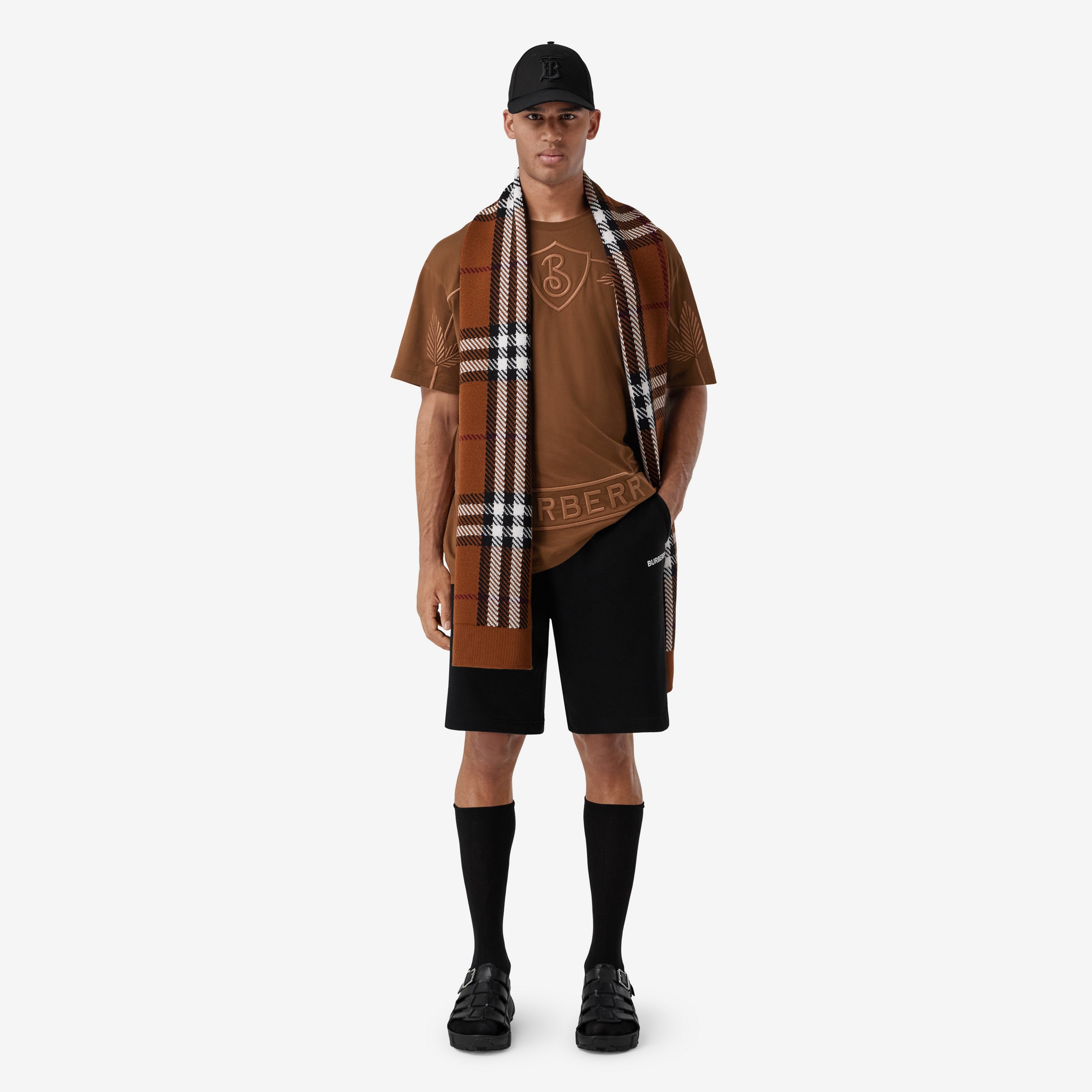 Check Wool Blend Knitted Scarf in Dark Birch Brown | Burberry® Official - 4