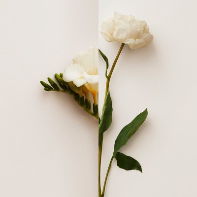 burberry wallet 90ml