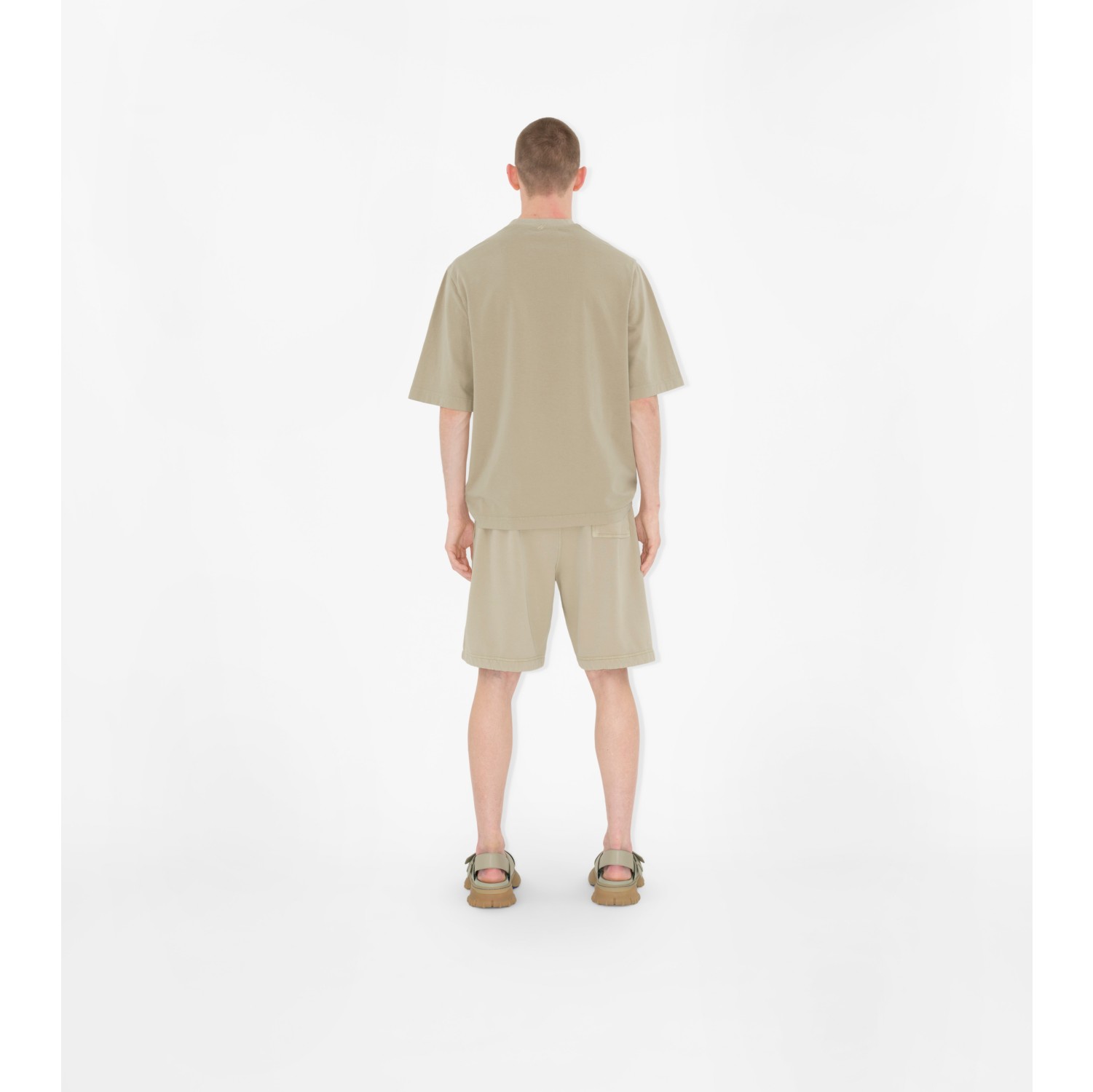 Cotton T-shirt in Safari - Men | Burberry® Official