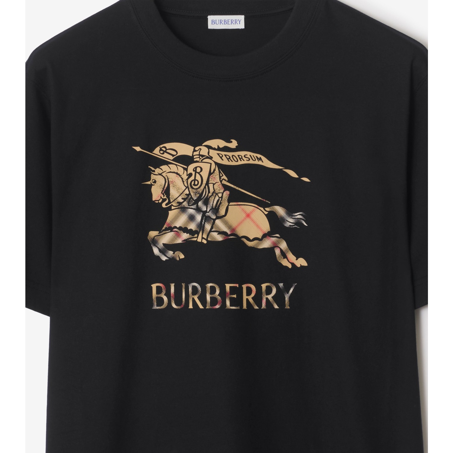 EKD Ombré Cotton T-shirt
