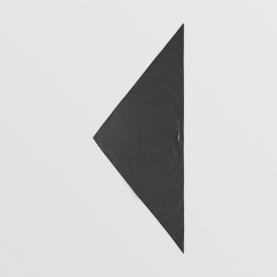 burberry vector youth