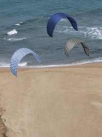 Kitesurf sur la plage