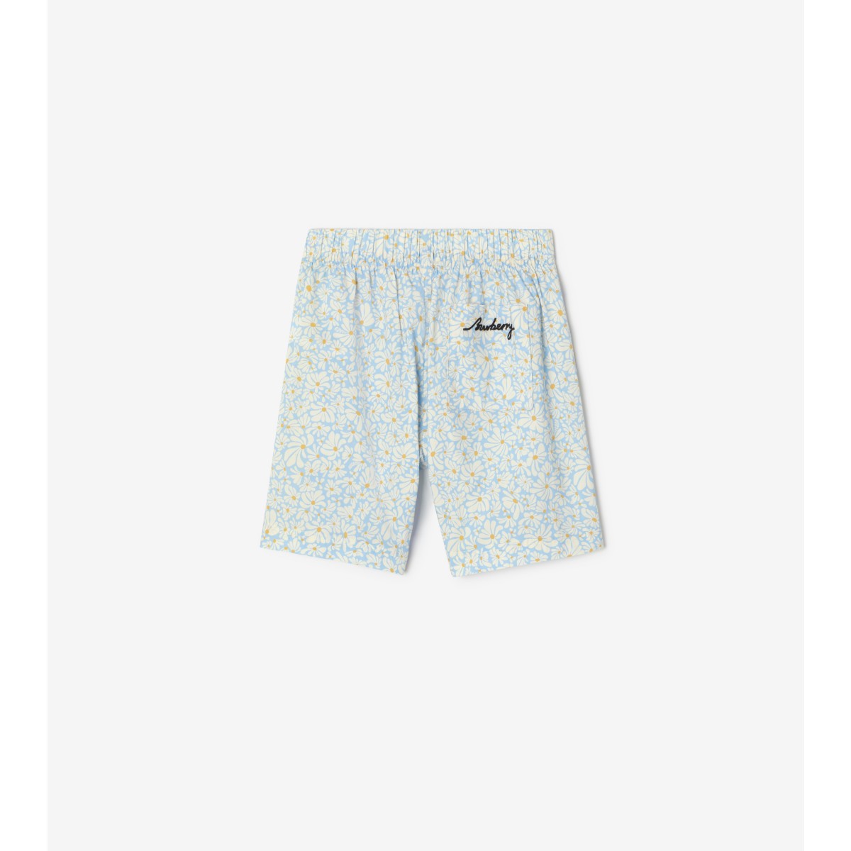  Embroidered Daisy Poplin Shorts